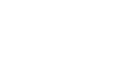 Canizares Law Group, LLC